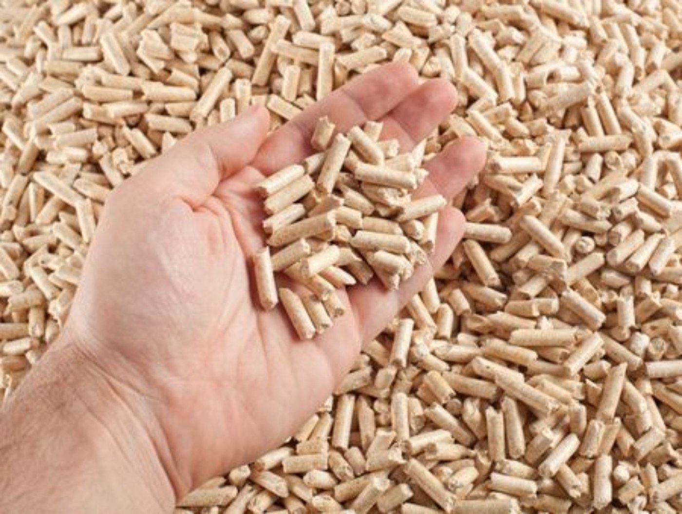 Pellet drzewny ENplus A1